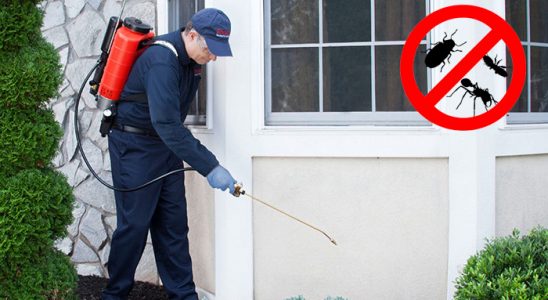 Sultandağı Gümüşkurt İlaçlama böcek ilaçlama ve haşere kontrolü — ilaclama-tr.com